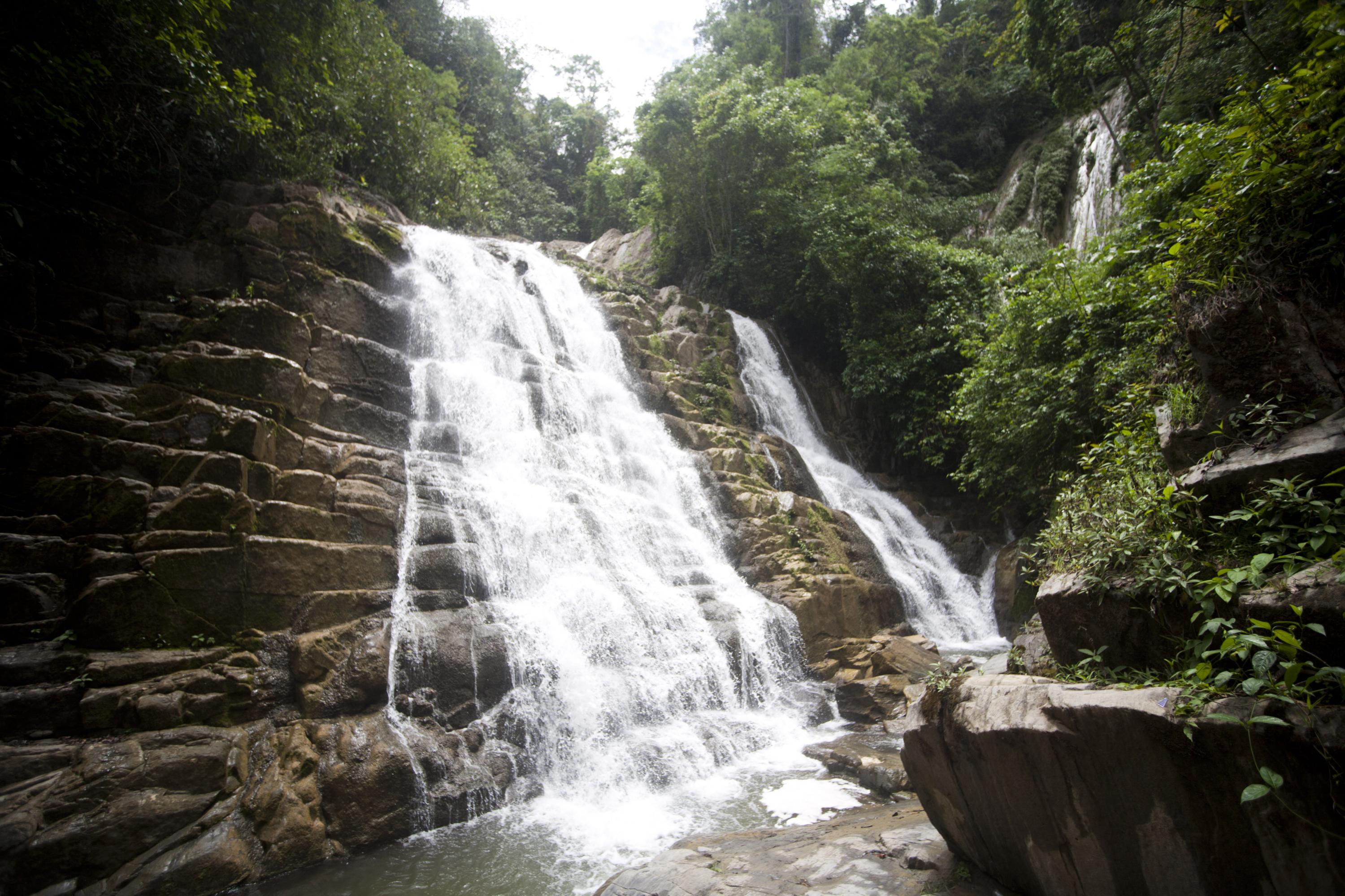 Imagen de Tour Satipo Ruta 1: Esencia de la Selva